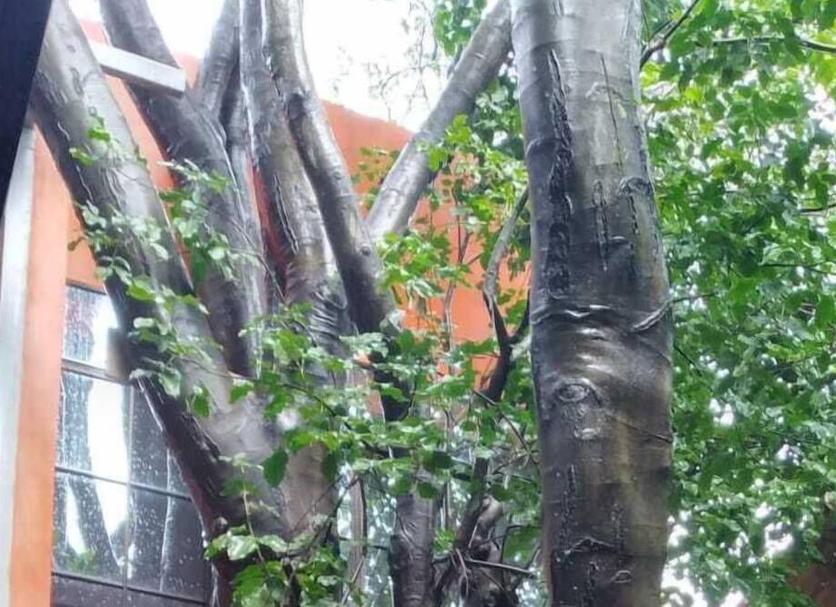 Außenansicht Foto